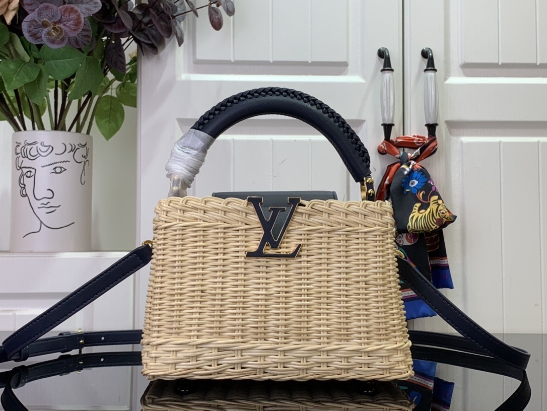 Lv Capucines mini handbag Lv Capucines mini handbag