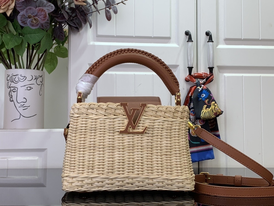 Lv Capucines mini handbag