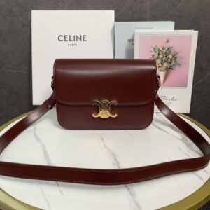 Celin Medium Triomphe bag