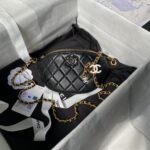 Chanel Shiny Lambskin Enamel waist Bag
