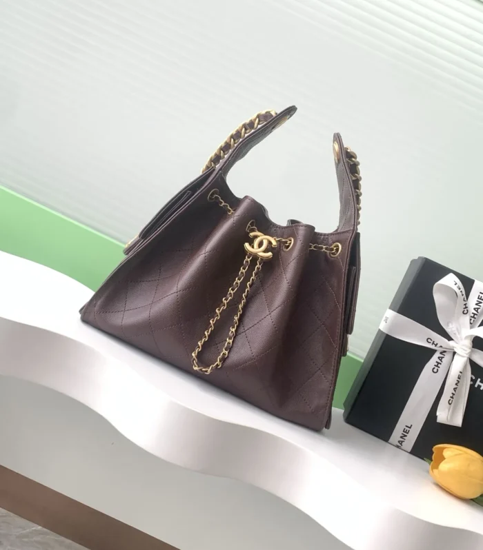 Coco Hobo Bag Small