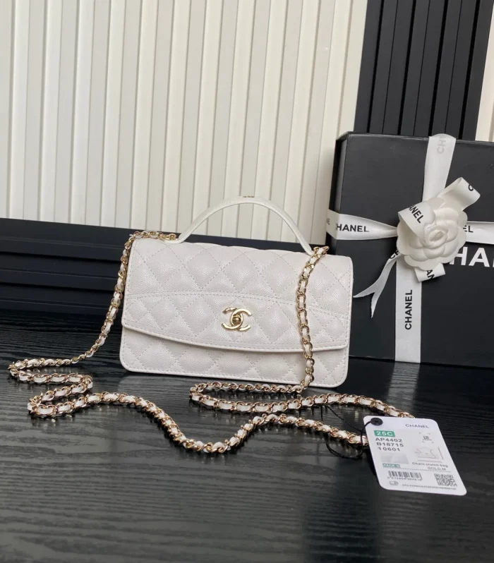 WOC Accordion Bag Mini Calfskin