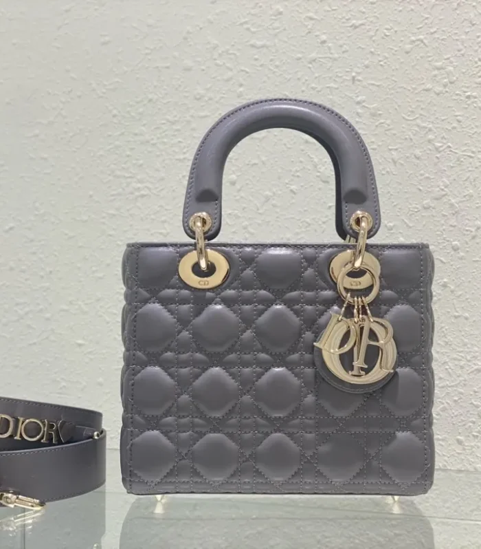 SMALL LADY DIOR BAG