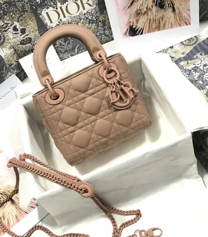 Mini Lady Dior