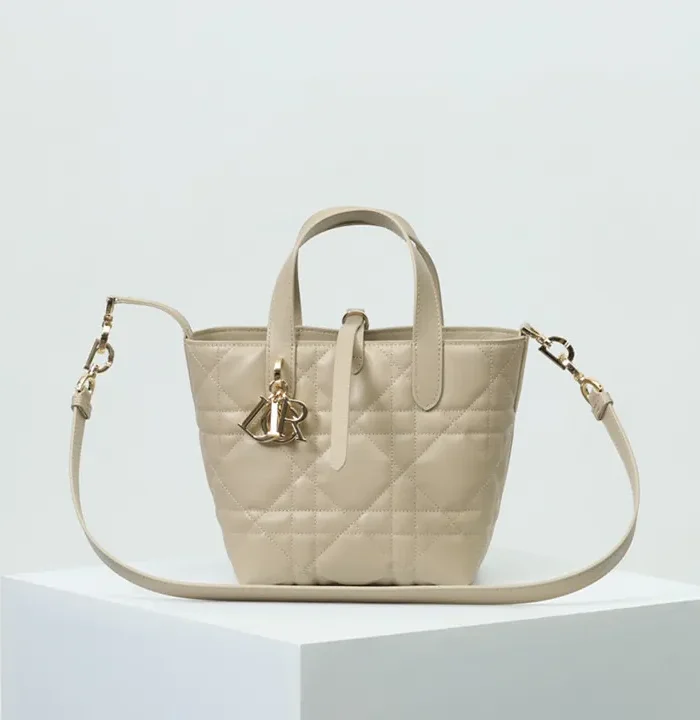 Small Dior Toujours Vertical Tote Bag