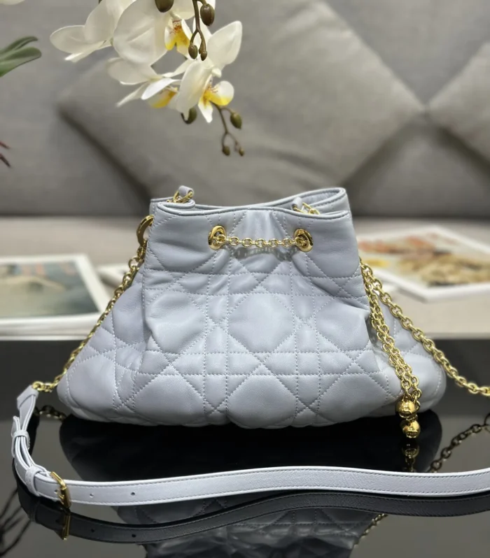 MEDIUM DIOR AMMI BAG
