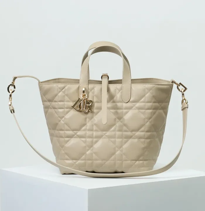 Medium Dior Toujours Vertical Tote Bag