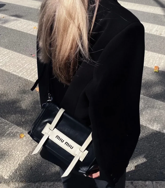 Miu Miu Mini Bag