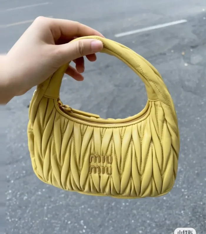Miu Miu Luxury Bag