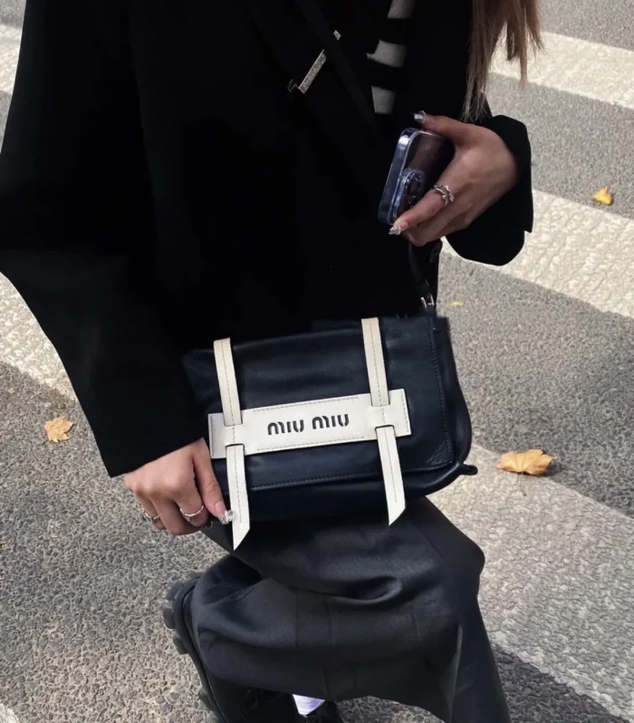 Miu Miu Luxury Bag