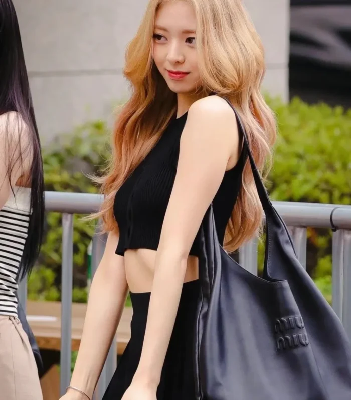Miu Miu Luxury Bag