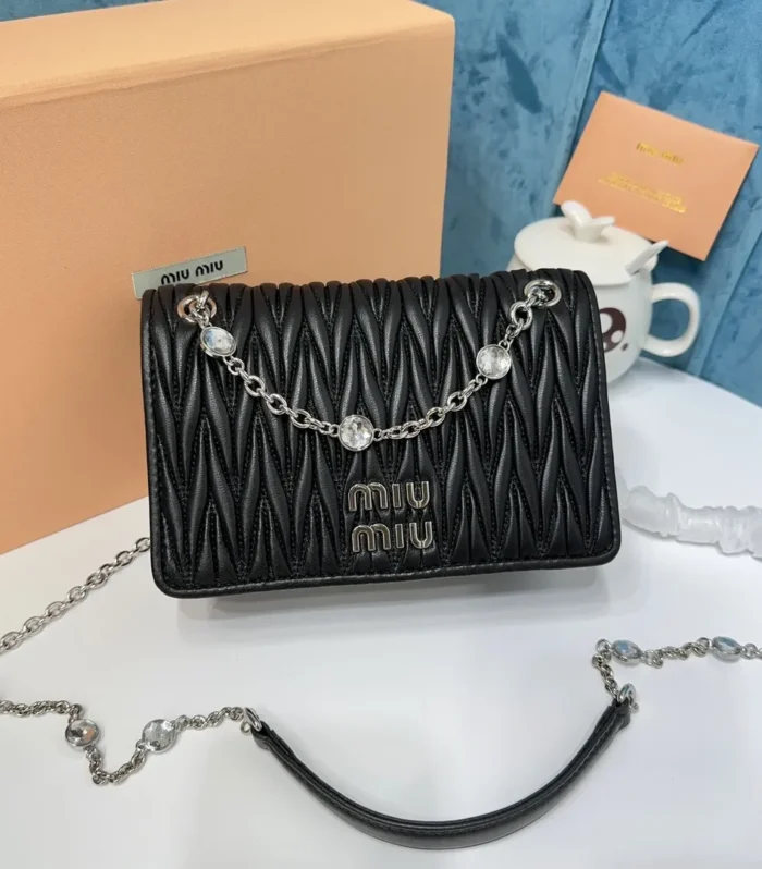 Miu Miu Luxury Bag