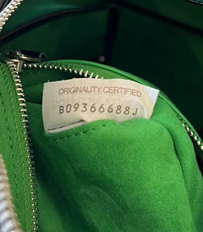 Bottega Veneta BV Arco Camera Bag