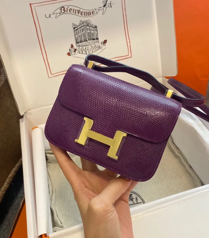 Birkin Bag Purple