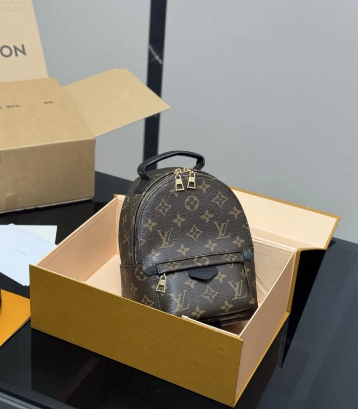 LV Mini Backpack