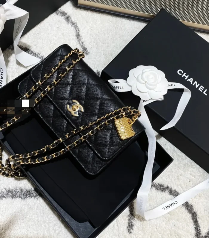Gabrielle Foolproof Bag
