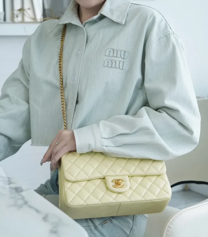 Gabrielle Convertible Bag