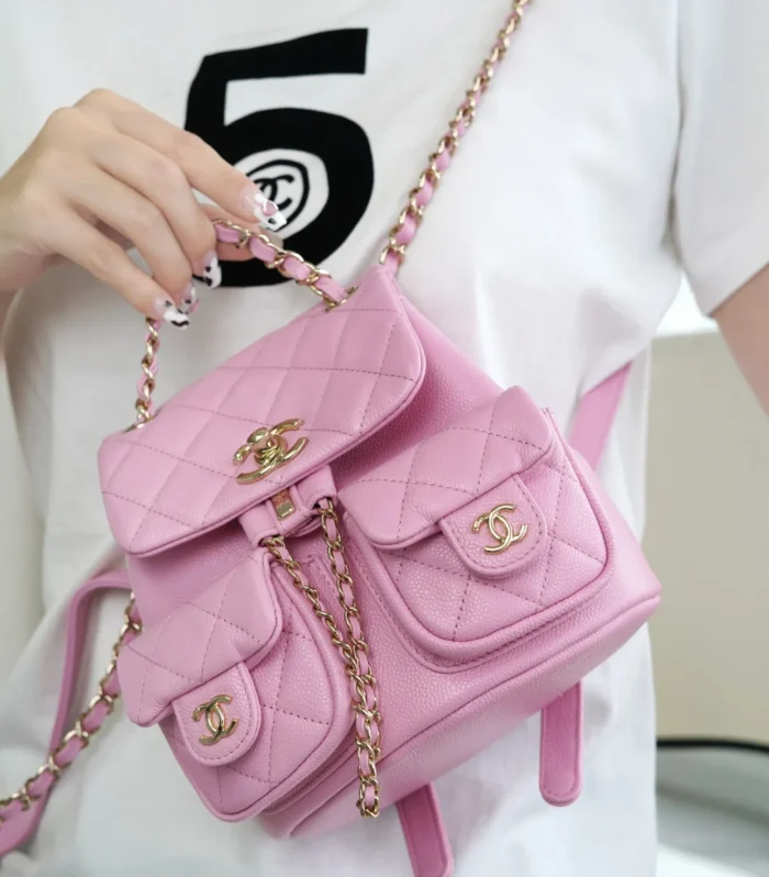 Gabrielle Backpack Pink