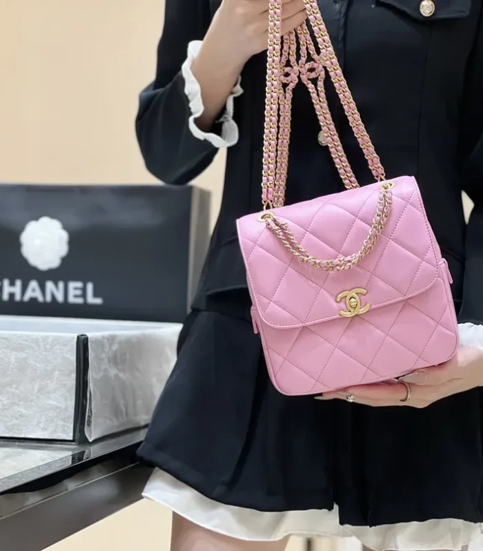 Exclusive Model Bag