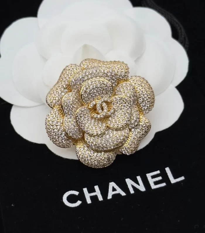 CC Brooch 173411