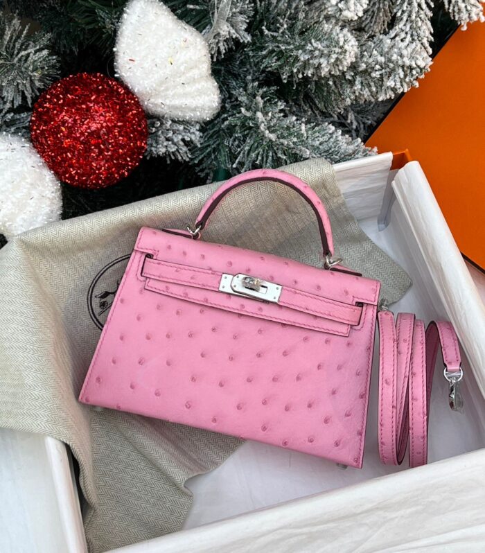Hermes kelly