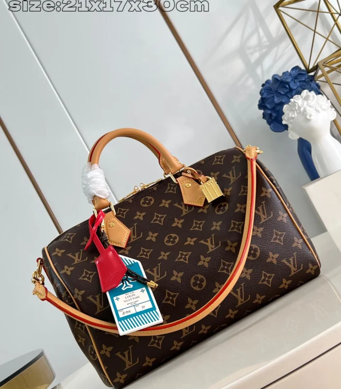 Louis Vuitton Speedy Soft 30 Crafty