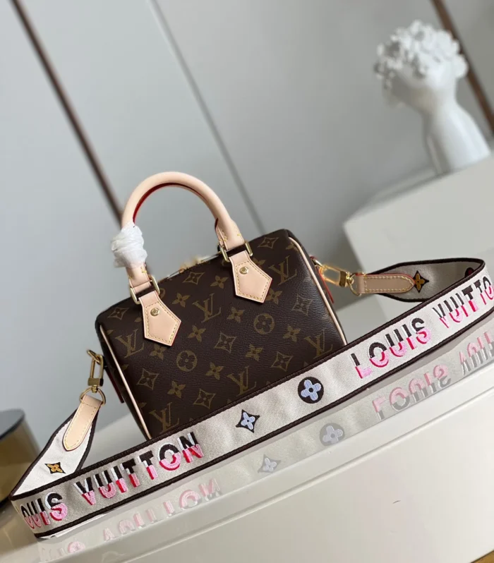 Louis Vuitton Speedy 20